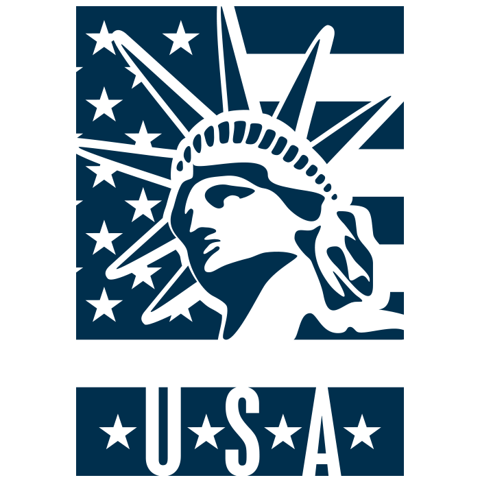 Visa service illustration